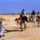 Les randonnées à dos de chameau en Tunisie