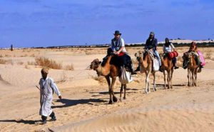 Les randonnées à dos de chameau en Tunisie