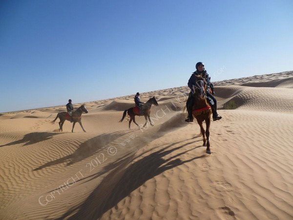 Tunisie : le paradis de l’équitation